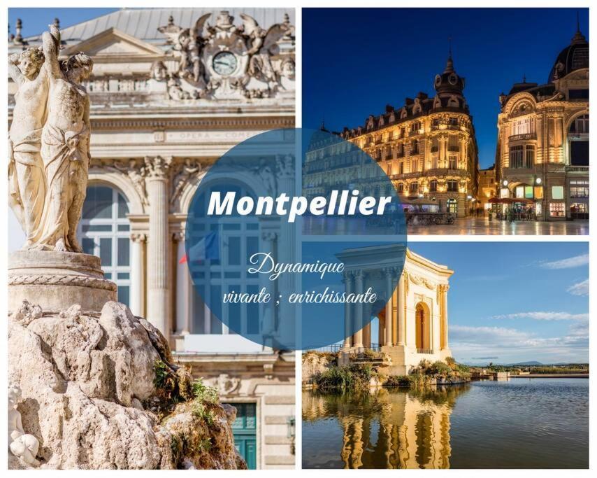 L'Etang De L'Or *Joli T2 * Plage A 10 Min * Proche Montpellier كارنو بلاج المظهر الخارجي الصورة